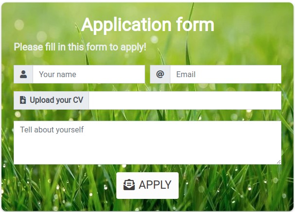 Application form created with Nerdy Form