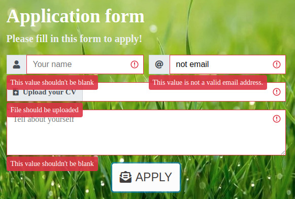 Validation of application form