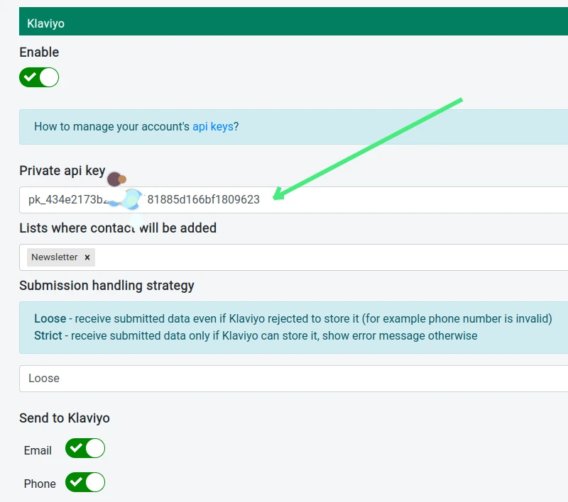 Paste the private API key to Nerdy Form