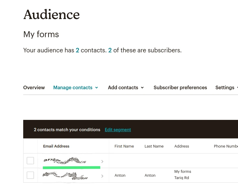 Mailchimp contact is added to the audience